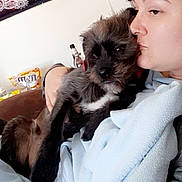 Bugga Boy joined the competition — help win amazing prizes! person, dog, puppy, blanket, couch, indoor, love, affection, snack, m_and_m, tapestry, lamp, nose_ring, black_dog, white_fur, casual_clothing, relaxed, home, close_up, comfort