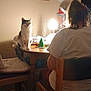 cat, table, lamp, person, chair, wooden_furniture, indoor, clock, light, hair, back_view, sitting, cozy, home, pet, furniture, casual, clutter, warm, relaxed