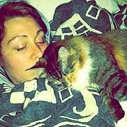 Meowzers joined the competition — help win amazing prizes! animal, bed, blanket, cat, closeup, comfort, cozy, cute, face, fur, fur_pattern, home, indoor, person, pet, relaxation, resting, sleeping, snuggle, warm