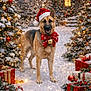 dog, german_shepherd, christmas, santa_hat, bow, bell, snow, christmas_tree, ornaments, presents, holiday, festive, winter, lights, outdoor, celebration, decoration, smiling, canine, seasonal