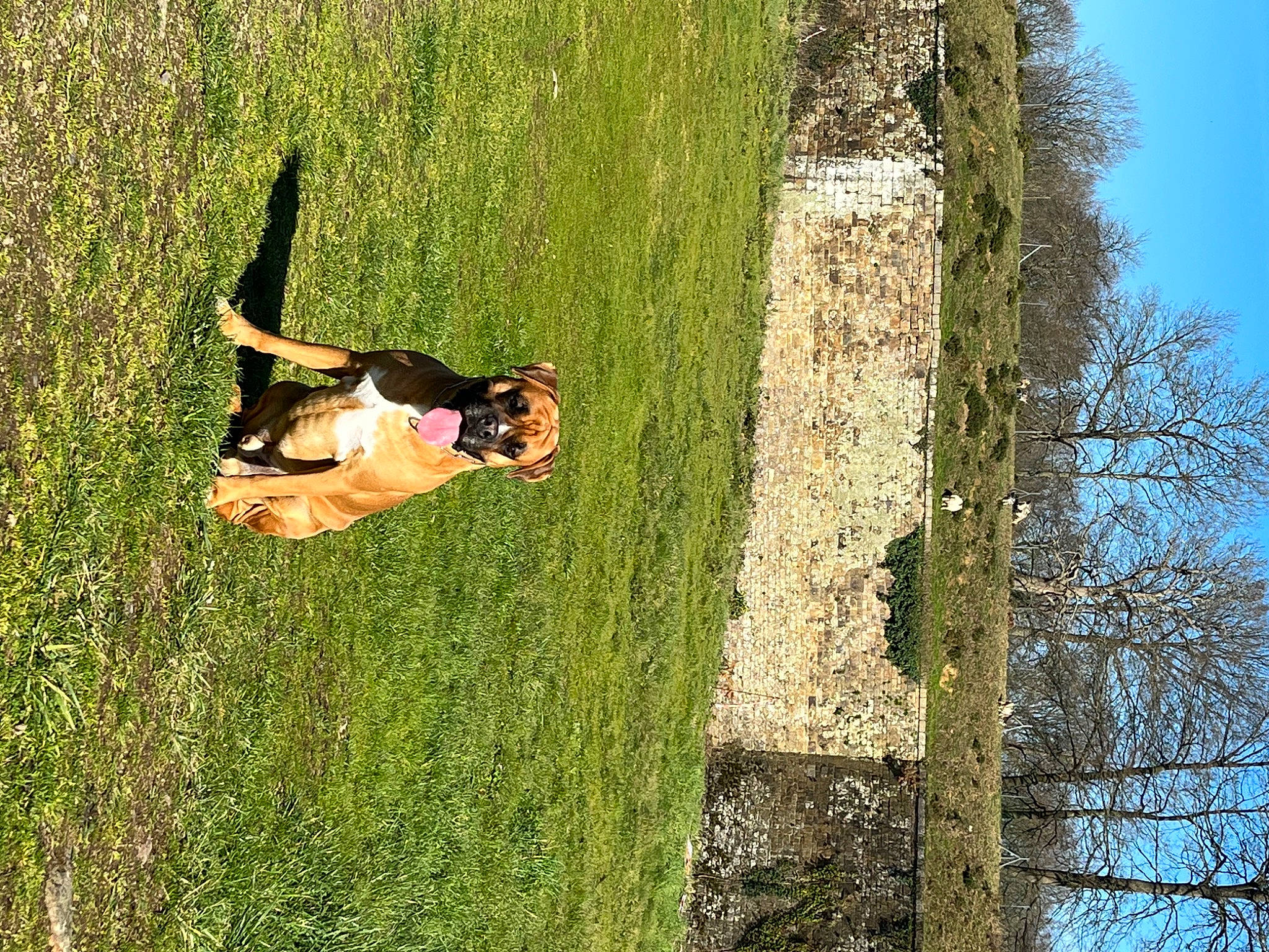 Rax a rejoint le concours — aidez-le/la à gagner de superbes lots ! adventure, fun, grass, grass_family, grassland, happy, landscape, leisure, meadow, pasture, people_in_nature, plant, recreation, shadow, shrub, sky, tree, trunk, wood