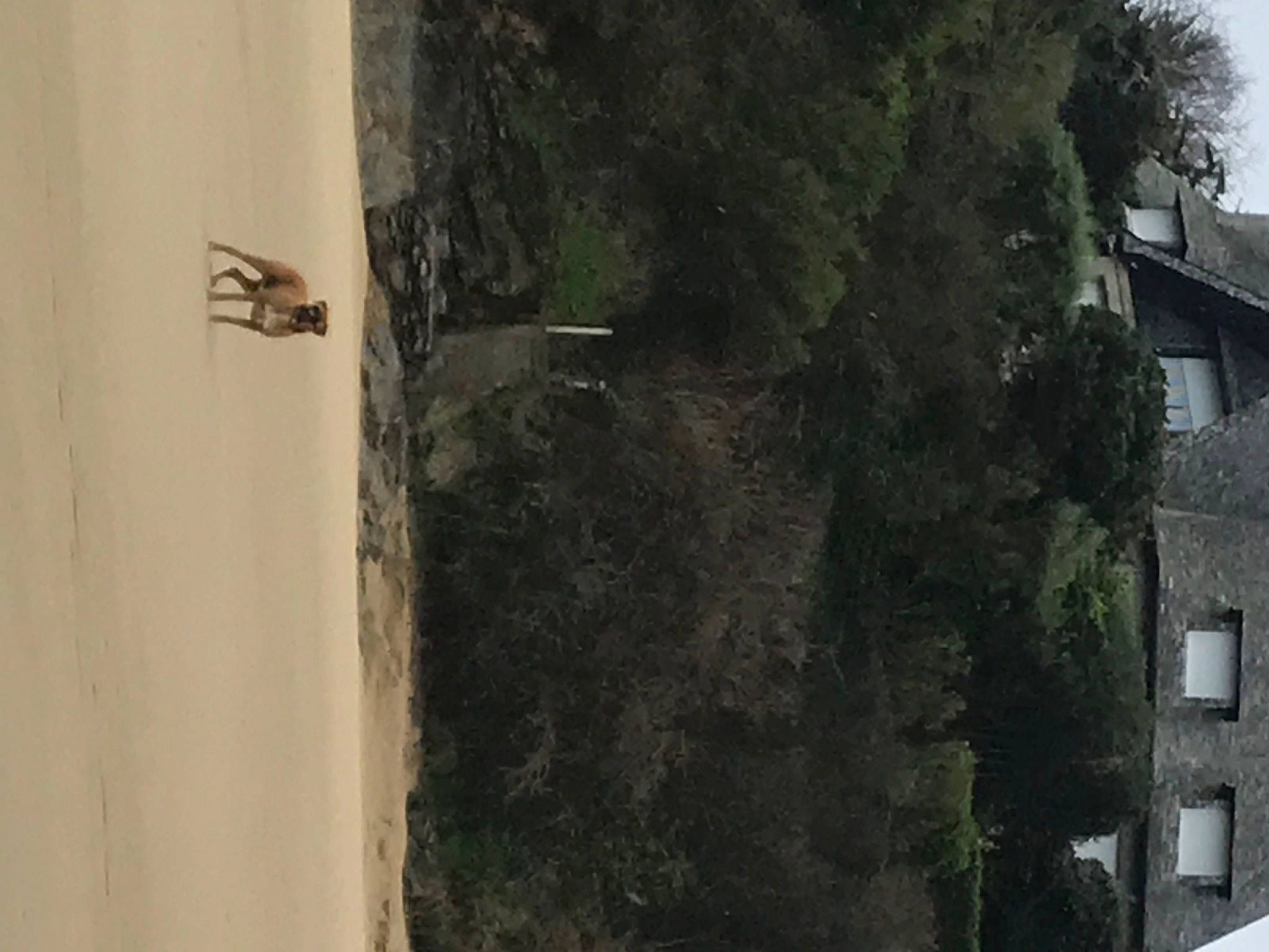 Rax a rejoint le concours — aidez-le/la à gagner de superbes lots ! arthropod, building, concrete, door, facade, grass, insect, landscape, pest, plant, room, shadow, shrub, sky, soil, tints_and_shades, tree, trunk, window, wood