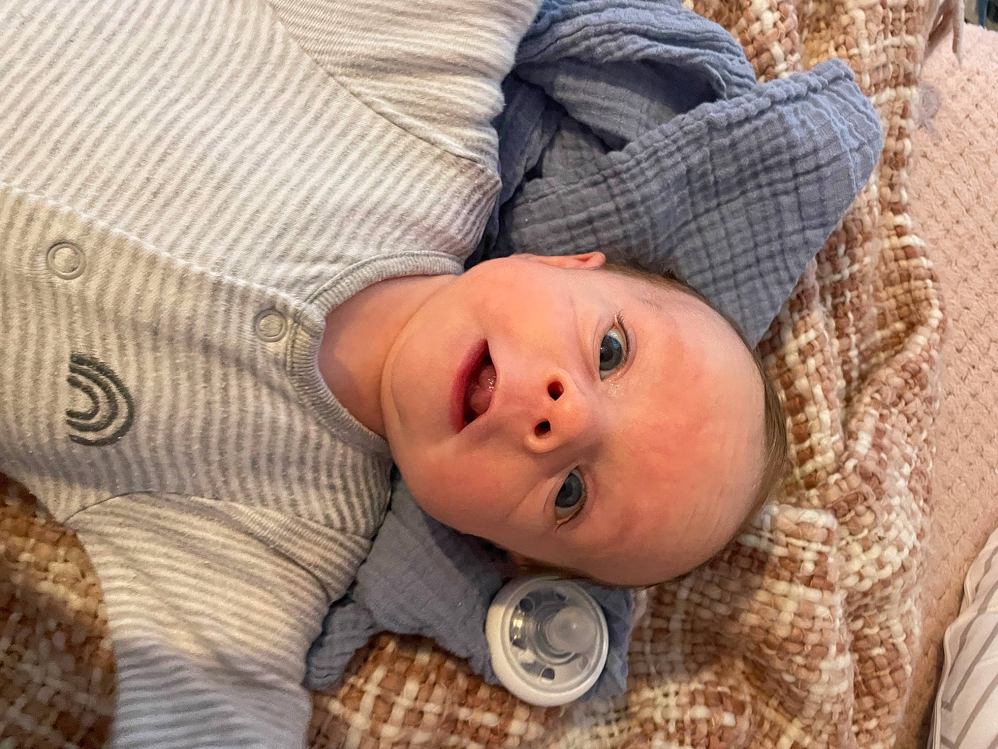 Owen is registered to the contest to win money with this photo: baby, baby_toddler_clothing, cheek, child, comfort, fur, grass, hat, linens, nose, pattern, person, plaid, skin, sleeve, tartan, textile, toddler, tree, wood