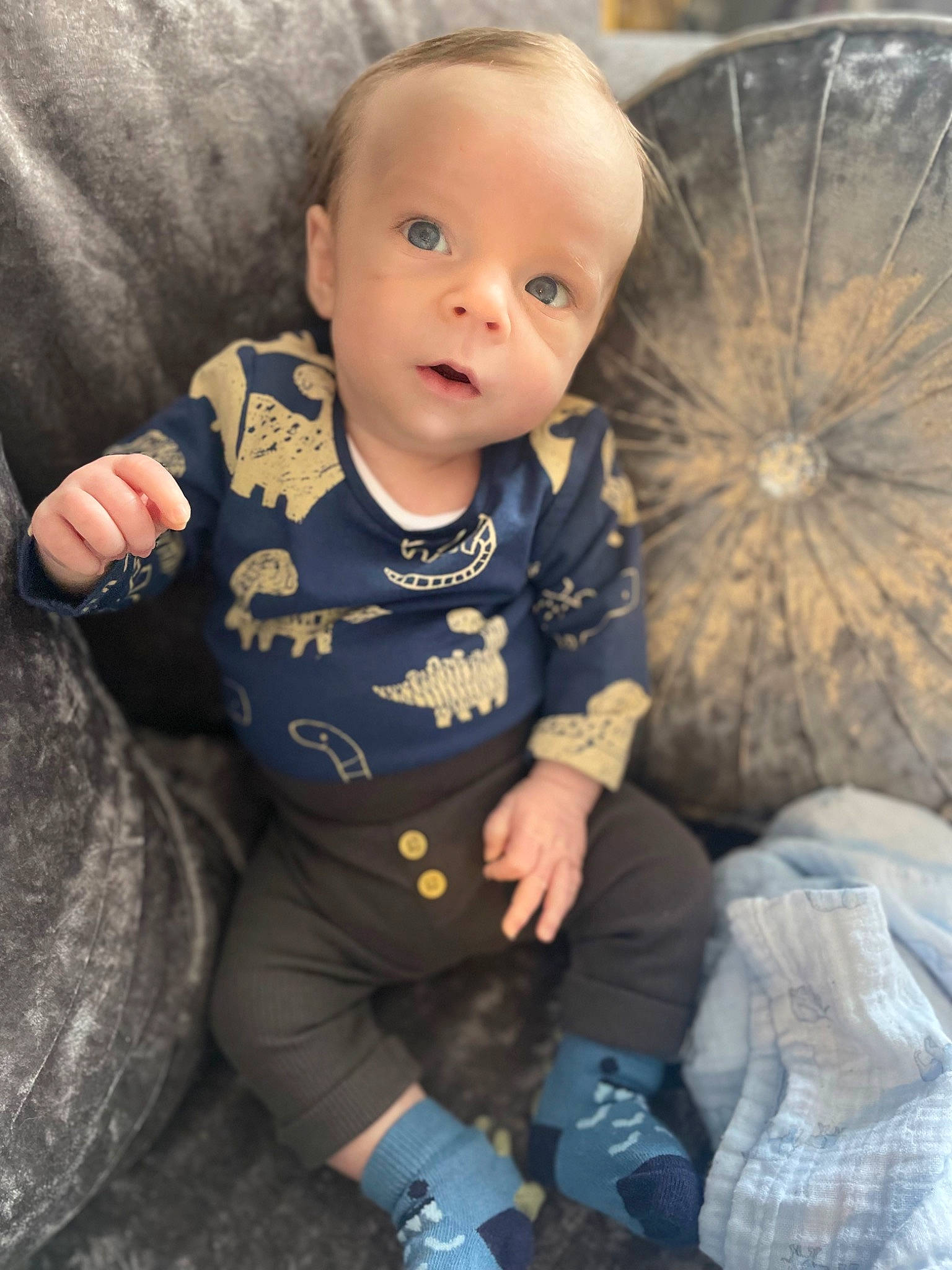 Owen is registered to the contest to win money with this photo: baby, baby_toddler_clothing, beauty, cheek, child, comfort, cool, eye, facial_expression, flash_photography, fun, grass, hairstyle, head, iris, leaf, nose, person, skin, sleeve