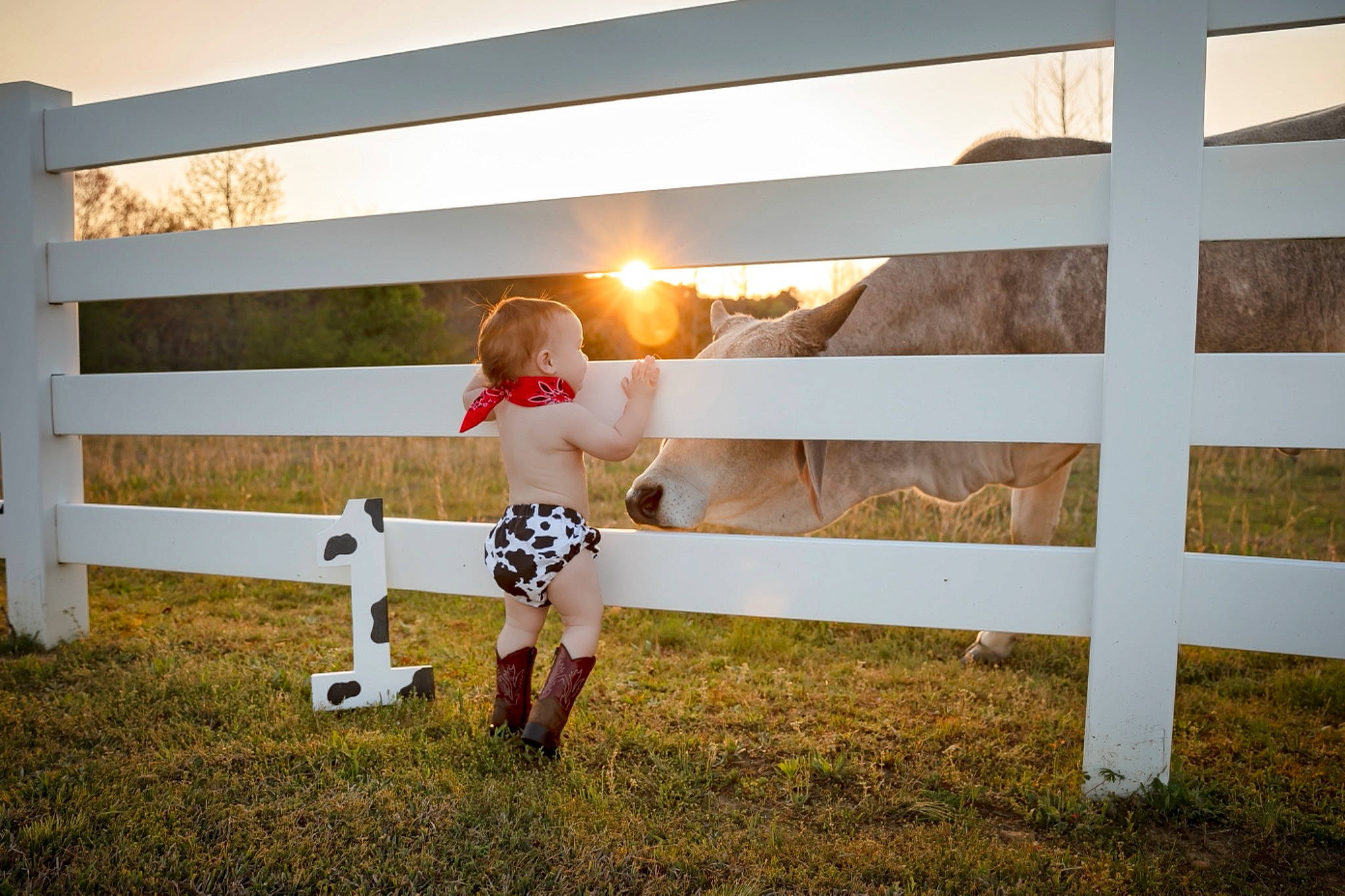 Daxton joined the competition — help win amazing prizes! child, fawn, fence, fun, grass, grassland, happy, home_fencing, human_leg, landscape, pasture, person, plant, rectangle, shadow, shorts, sitting, split_rail_fence, toy, tree