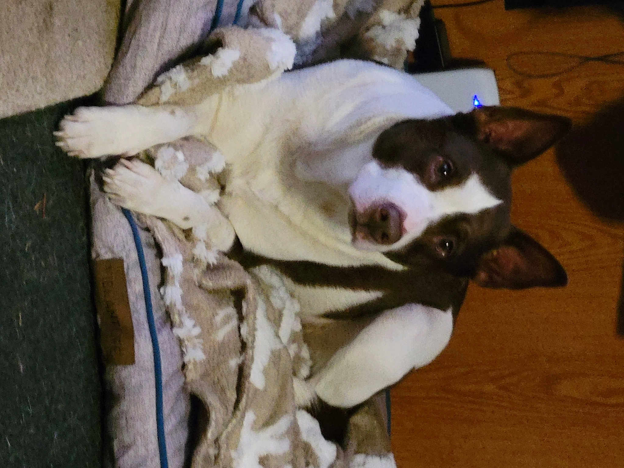 Rosie