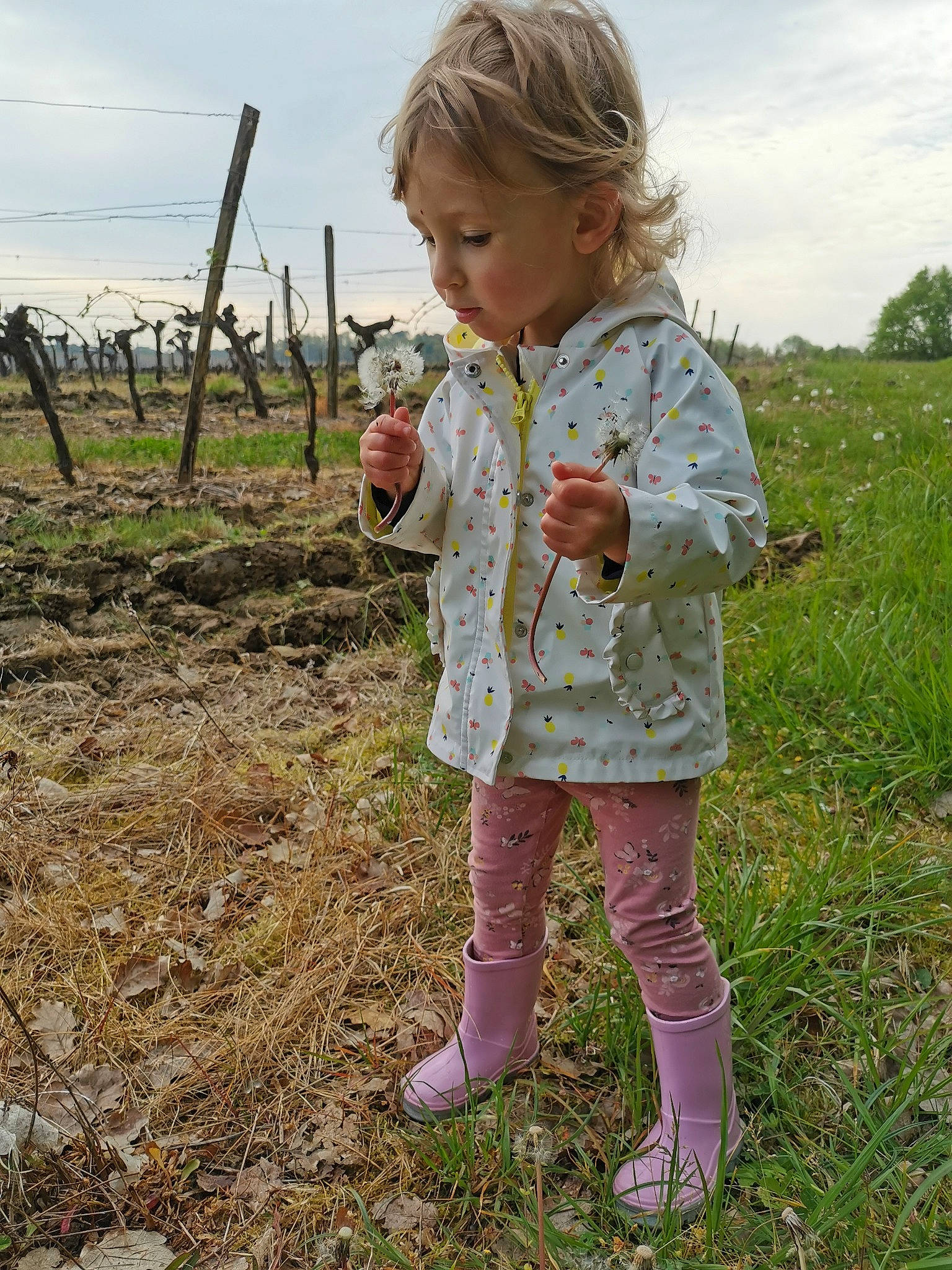 Giullia participe au concours pour gagner de l'argent avec cette photo : baby_toddler_clothing, blond, child, cloud, face, field, fun, grass, grassland, hair, happy, head, landscape, meadow, people_in_nature, person, plant, prairie, sky, soil