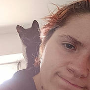 Athéna participe au concours pour gagner de l'argent avec cette photo : animal, black_kitten, casual, cat, closeup, companion, cozy, curious, cute, face, hair, indoor, natural_light, person, pet, selfie, shoulder, smile, window, young_adult