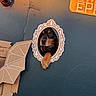 Nouky a rejoint le concours — aidez-le/la à gagner de superbes lots ! cat, feline, animal, pet, portrait, framed_portrait, ornate_frame, wall, indoor, decor, home_decor, blue_wall, orange_sign, geometric_decoration, warm_lighting, vertical_photo, peeking, whiskers, fluffy_tail, quirky