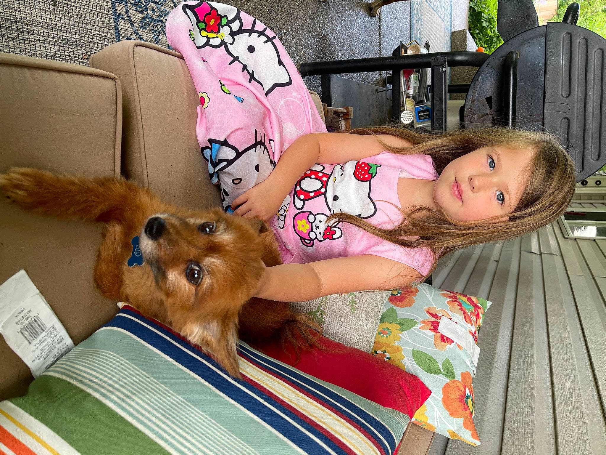 Kip is registered to the contest to win money with this photo: child, companion_dog, dog_breed, doll, fawn, fun, fur, hairstyle, holiday, lap, leisure, play, plush, sitting, stuffed_toy, thigh, toddler, toy, vacation, wood