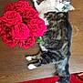 cat, tabby_cat, flowers, roses, wooden_table, red_rug, indoor, pet, feline, fur, green_eyes, relaxing, cozy, domestic_animal, tabletop, plant, natural_light, home_interior, floor_tiles, chair
