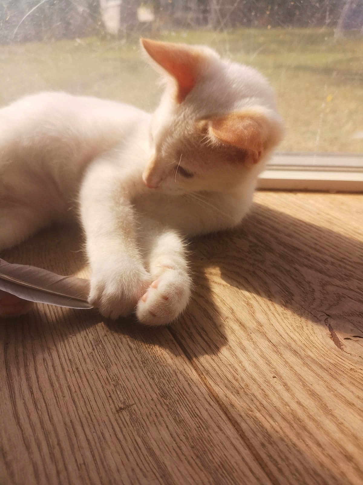Max