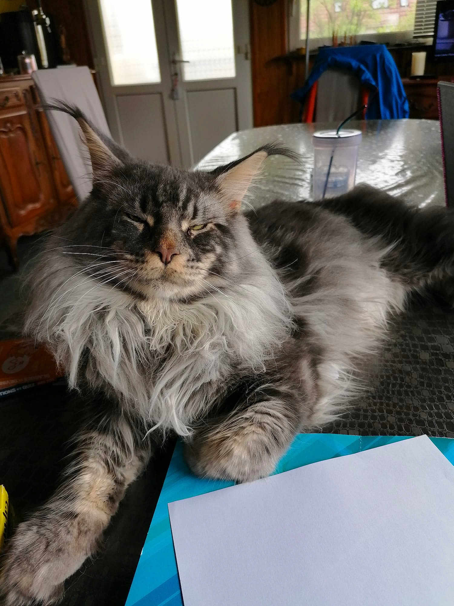 Thor