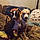 Louie And Betsy