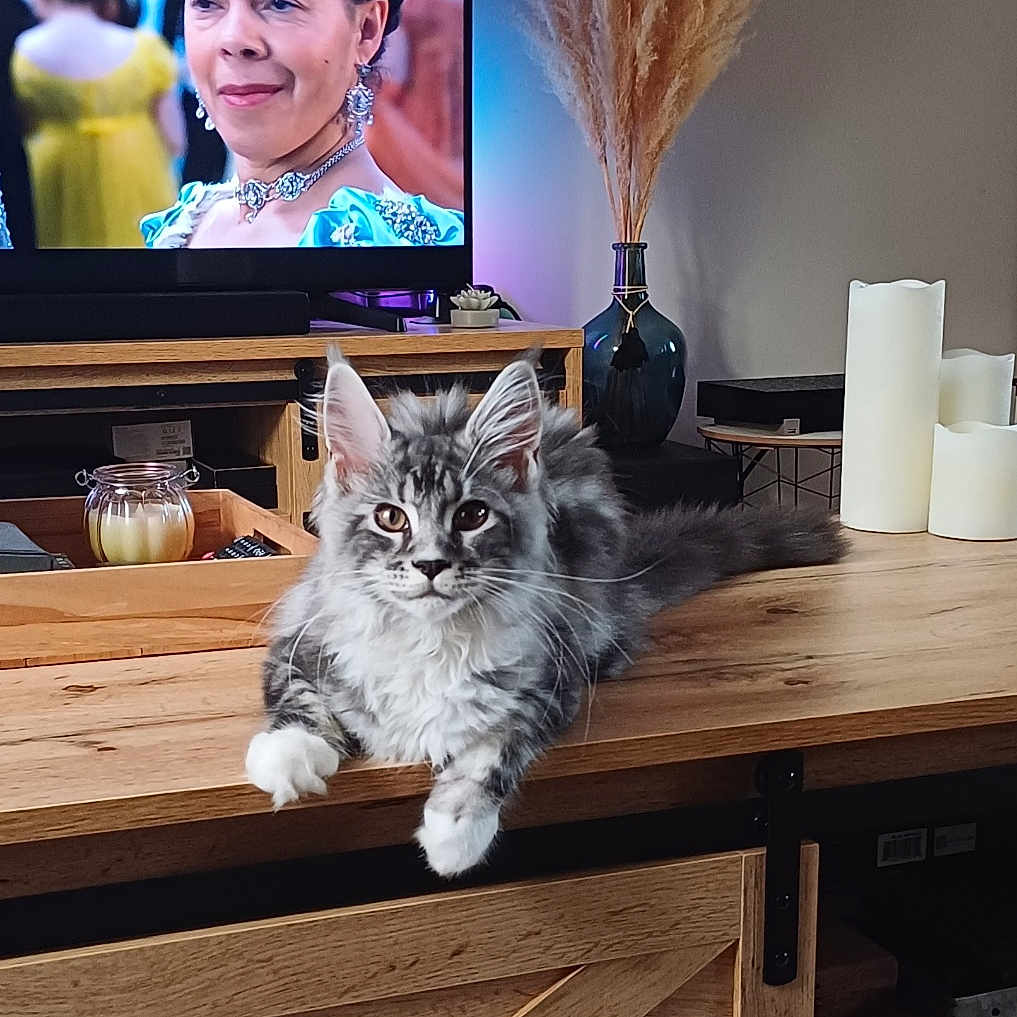 Freya