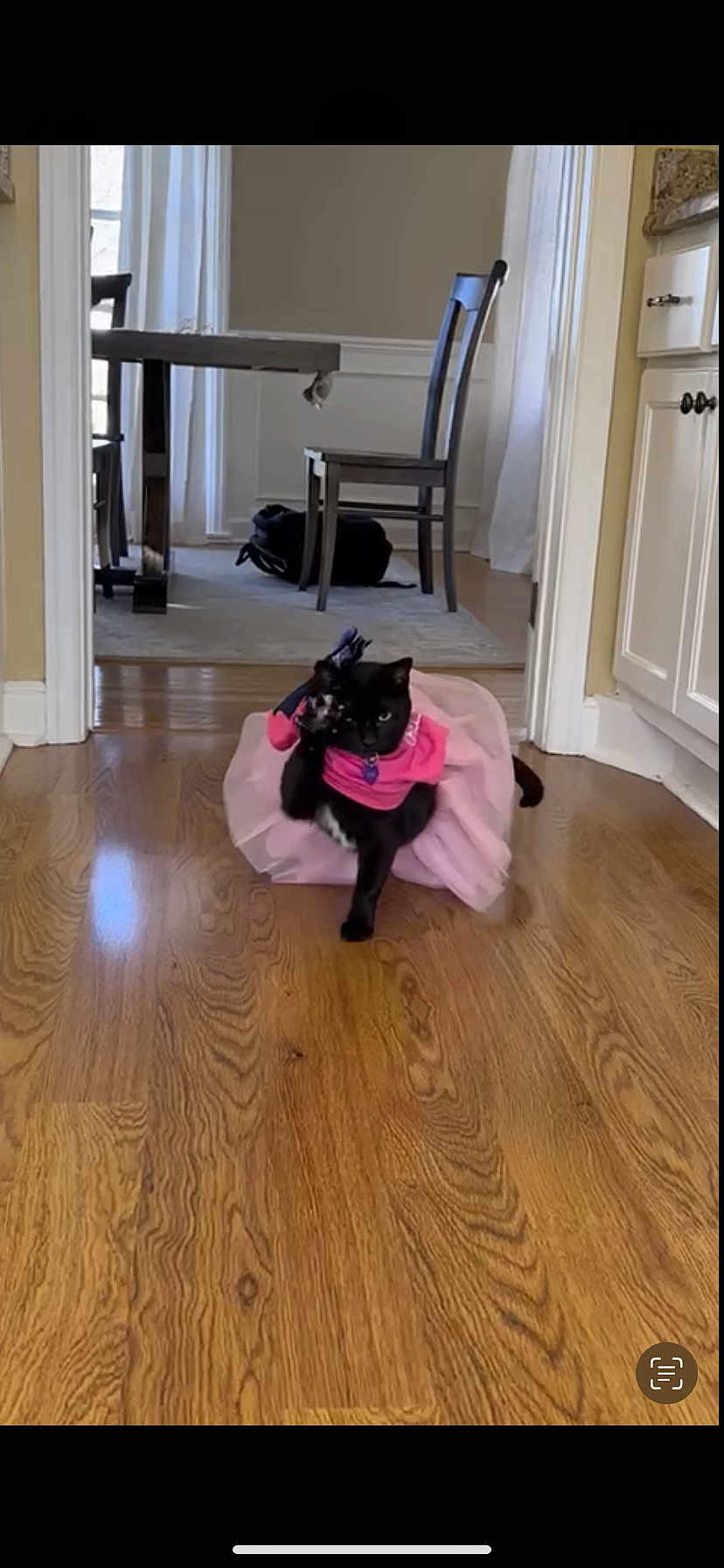 Luna