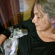 Sterling is registered to the contest to win money with this photo: bond, casual_clothing, closeup, collar, comfort, couch, dog, face, hair, home, human, indoor, love, pet, portrait, relaxation, rest, sleeping, striped_curtain, woman