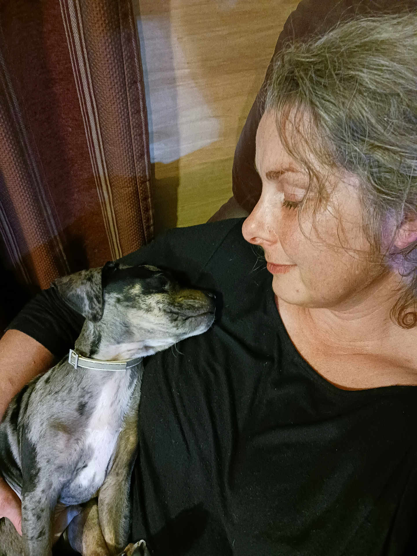 Sterling is registered to the contest to win money with this photo: bond, casual_clothing, closeup, collar, comfort, couch, dog, face, hair, home, human, indoor, love, pet, portrait, relaxation, rest, sleeping, striped_curtain, woman