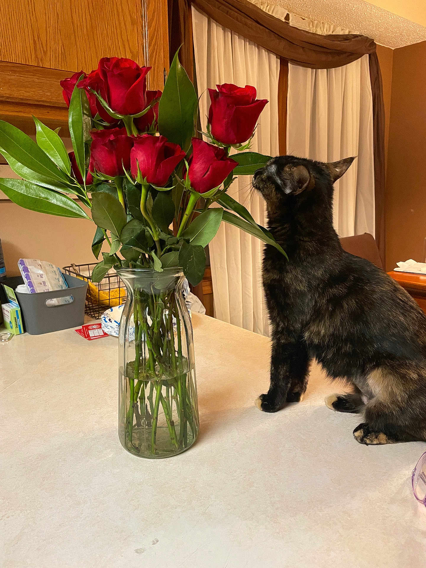 Freckles is registered to the contest to win money with this photo: cat, tortoiseshell_cat, roses, flower_vase, bouquet, glass_vase, tabletop, kitchen, curtains, wooden_cabinet, indoor, pet, plant, green_leaves, flowers, domestic_animal, curious, close_up, home, feline