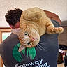 animal, cat, ceiling_light, close_up, curious, domestic_cat, fur, home, human, indoor, logo, orange_tabby, person, pet, portrait, shirt, shoulder, text, wide_eyes, window
