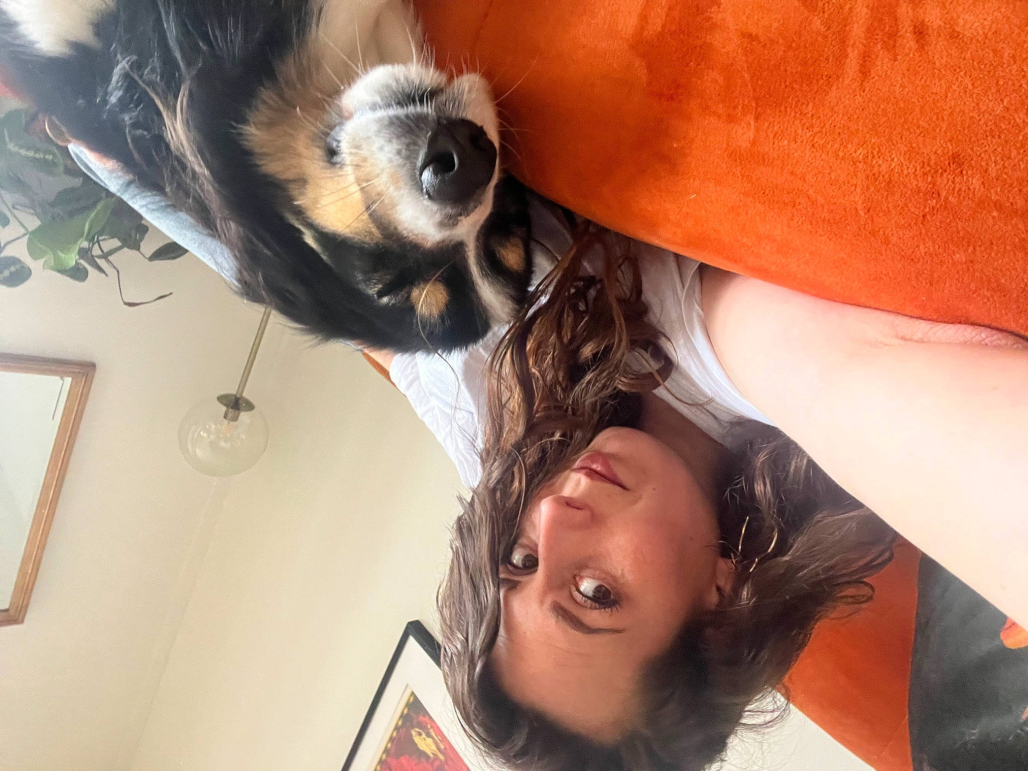 Pepsi participe au concours pour gagner de l'argent avec cette photo : black_hair, carnivore, companion_dog, cool, dog, dog_breed, ear, elbow, eyebrow, eyelash, eyewear, gesture, happy, jaw, long_hair, mouth, nose, skin, sunglasses, whiskers