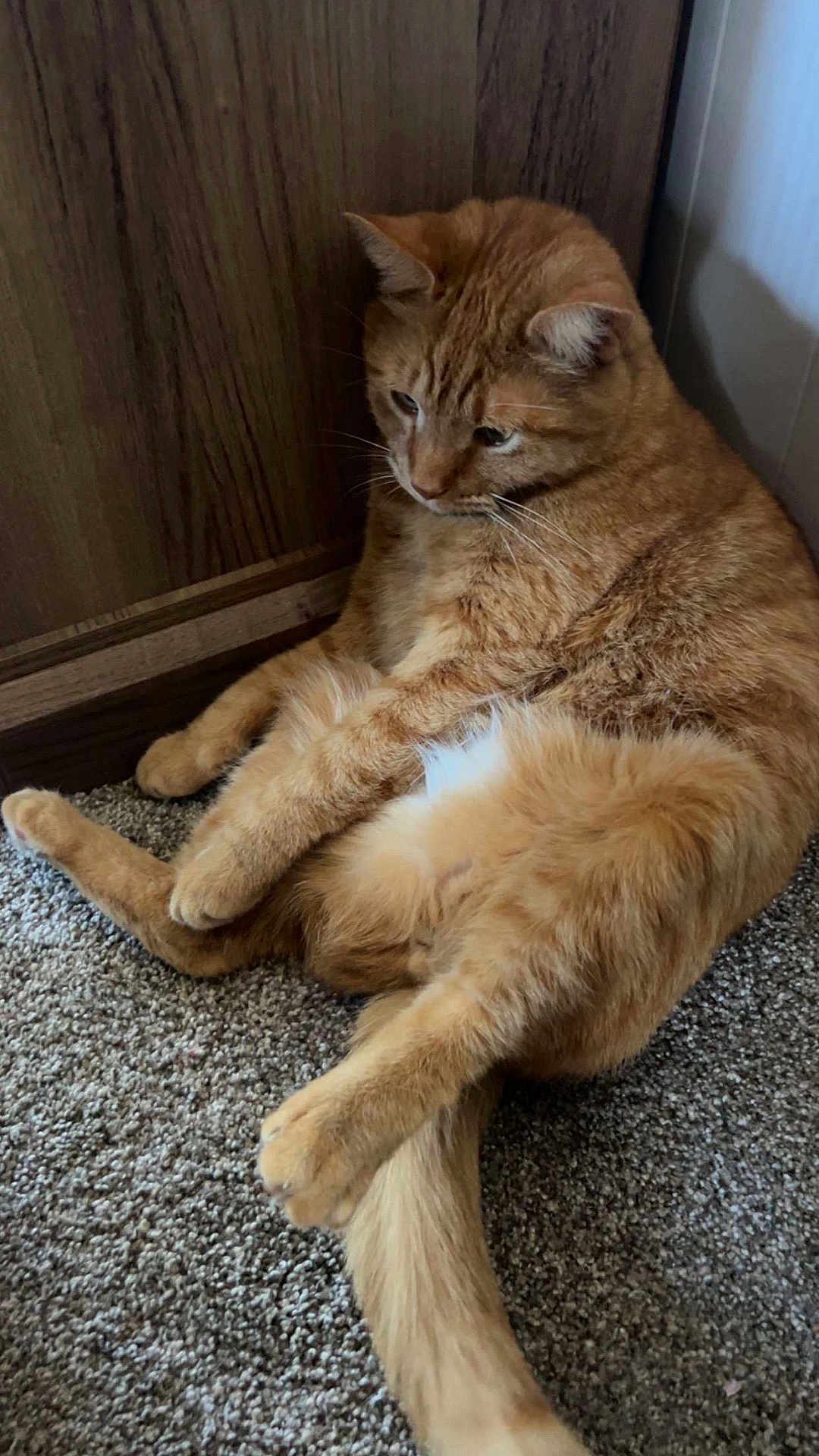 Simba