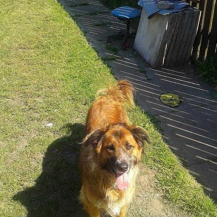 Tiny is registered to the contest to win money with this photo: