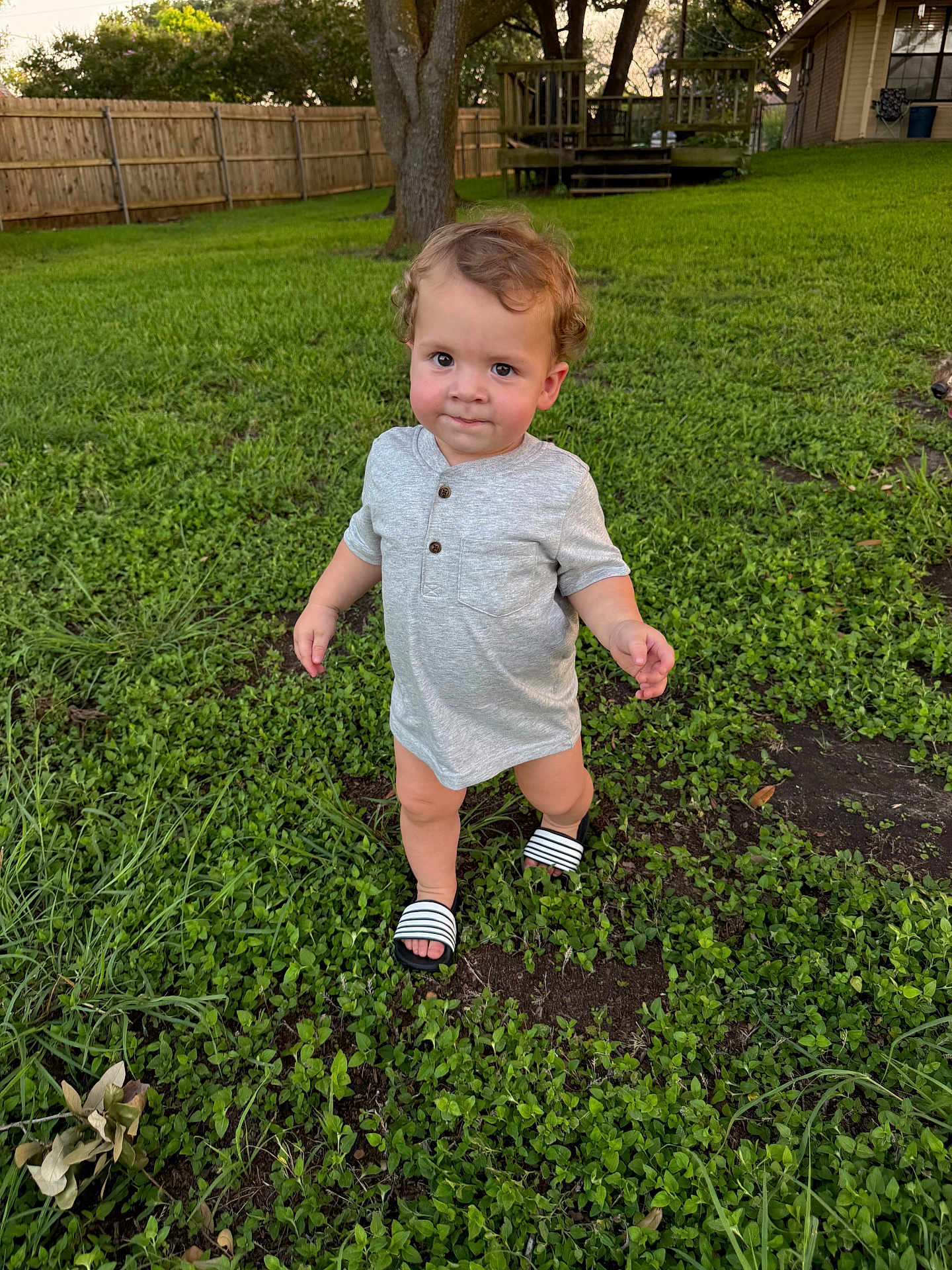 Ronan
