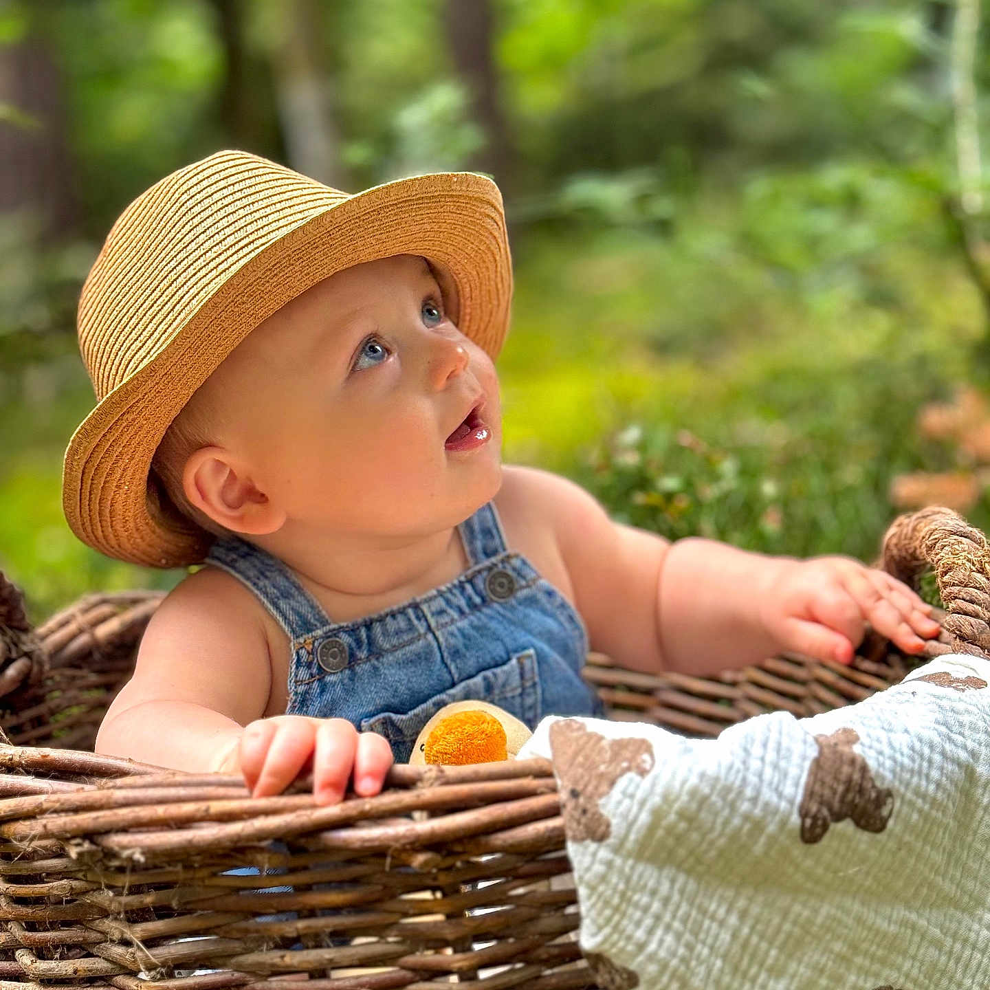 Mahé a rejoint le concours — aidez-le/la à gagner de superbes lots ! baby, blanket, blue_eyes, child, closeup, curious, cute, denim_overalls, forest, greenery, hands, infant, nature, outdoor, portrait, sitting, soft_light, straw_hat, teddy_bear_pattern, wicker_basket