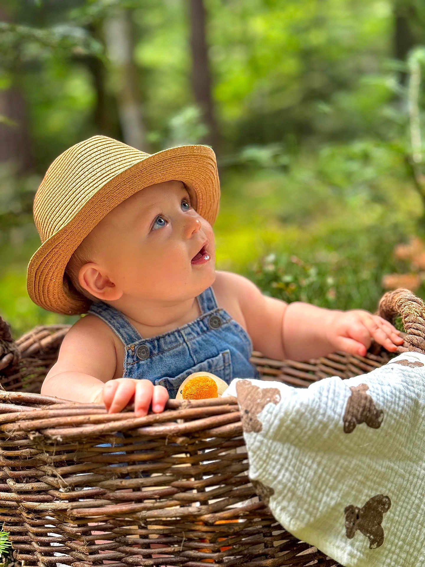 Mahé a rejoint le concours — aidez-le/la à gagner de superbes lots ! baby, child, wicker_basket, denim_overalls, straw_hat, blanket, teddy_bear_pattern, outdoor, forest, greenery, curious, blue_eyes, cute, portrait, infant, nature, soft_light, hands, sitting, closeup