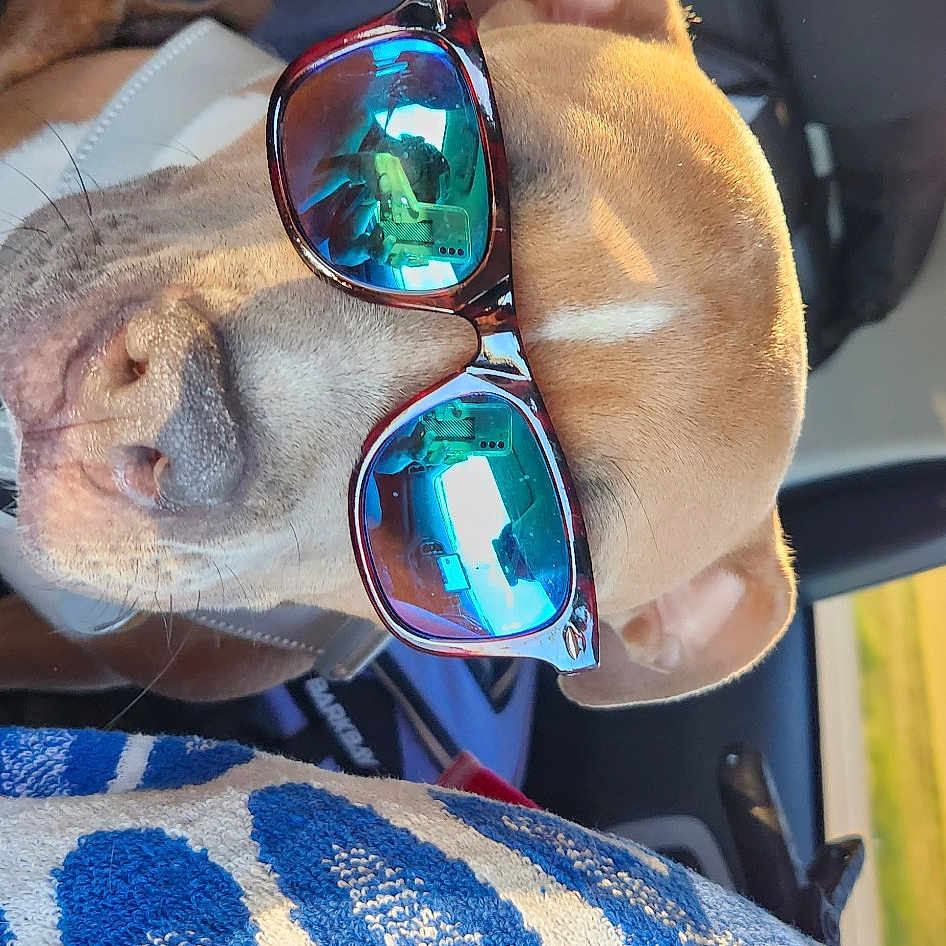 Velvet is registered to the contest to win money with this photo: audio_equipment, auto_part, event, eye_glass_accessory, eyewear, fashion_accessory, fun, glass, glasses, goggles, hat, headgear, leisure, personal_protective_equipment, public_event, selfie, sunglasses, vision_care