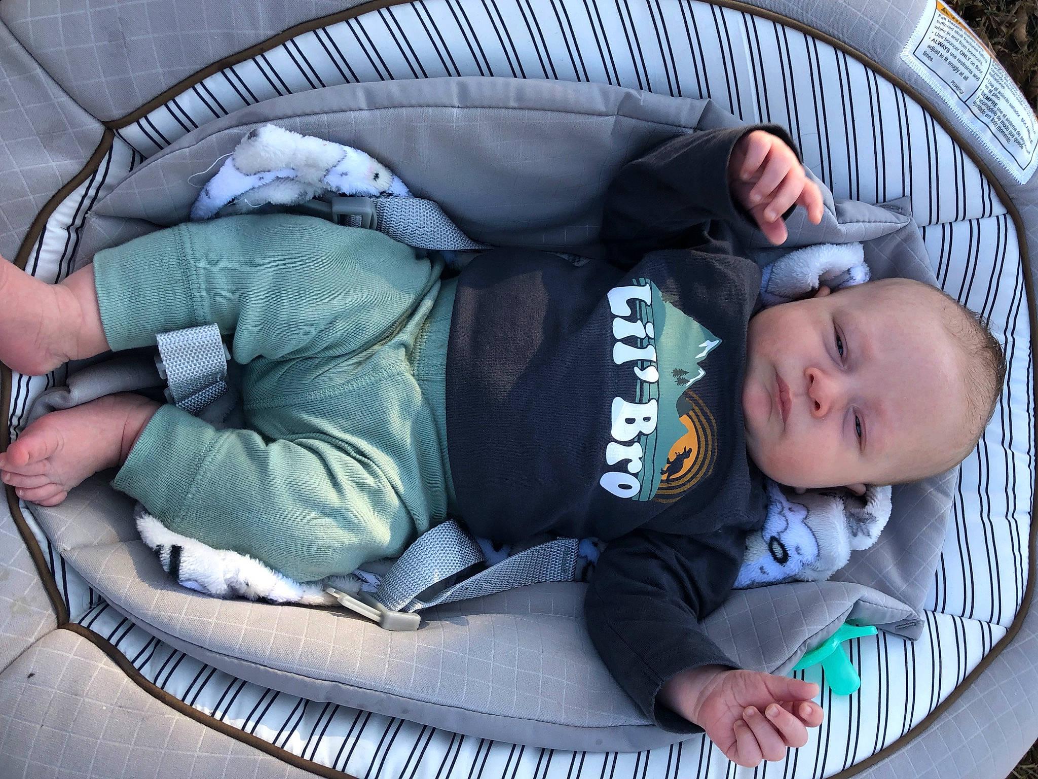 Waylon is registered to the contest to win money with this photo: baby, baby_carriage, baby_products, baby_safety, baby_toddler_clothing, bag, car_seat, child, comfort, grass, green, lap, luggage_and_bags, mammal, nap, person, sitting, sleep, toddler