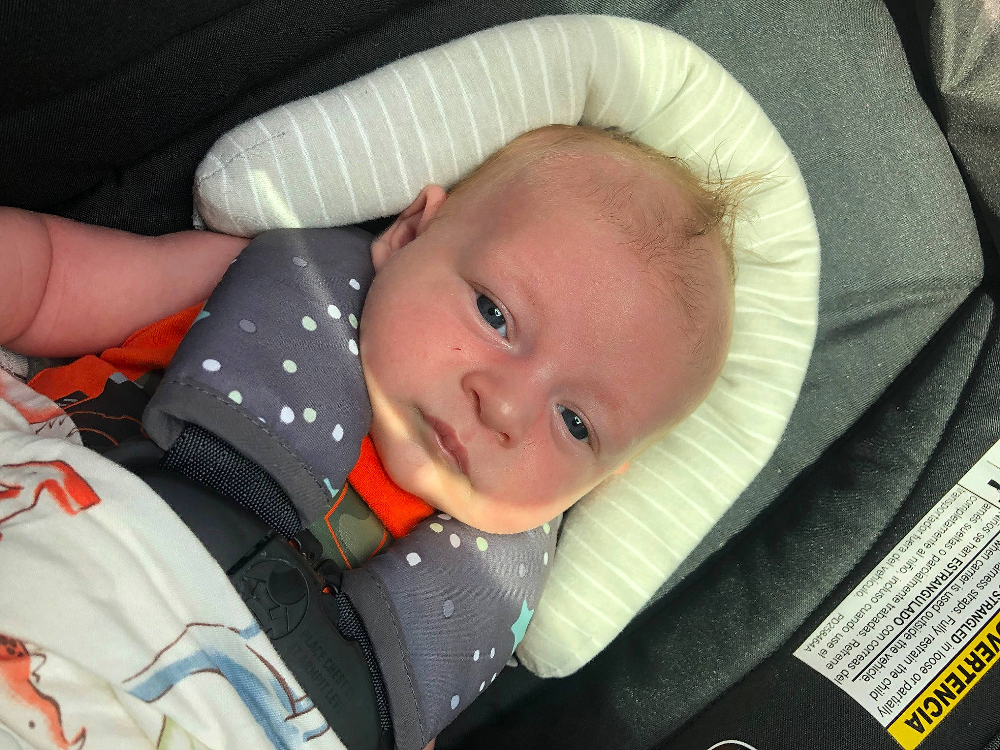 Waylon joined the competition — help win amazing prizes! baby, baby_carriage, baby_products, baby_safety, baby_toddler_clothing, car_seat, cheek, child, comfort, eye, iris, linens, pattern, person, product, sleeve, smile, textile, thumb, toddler
