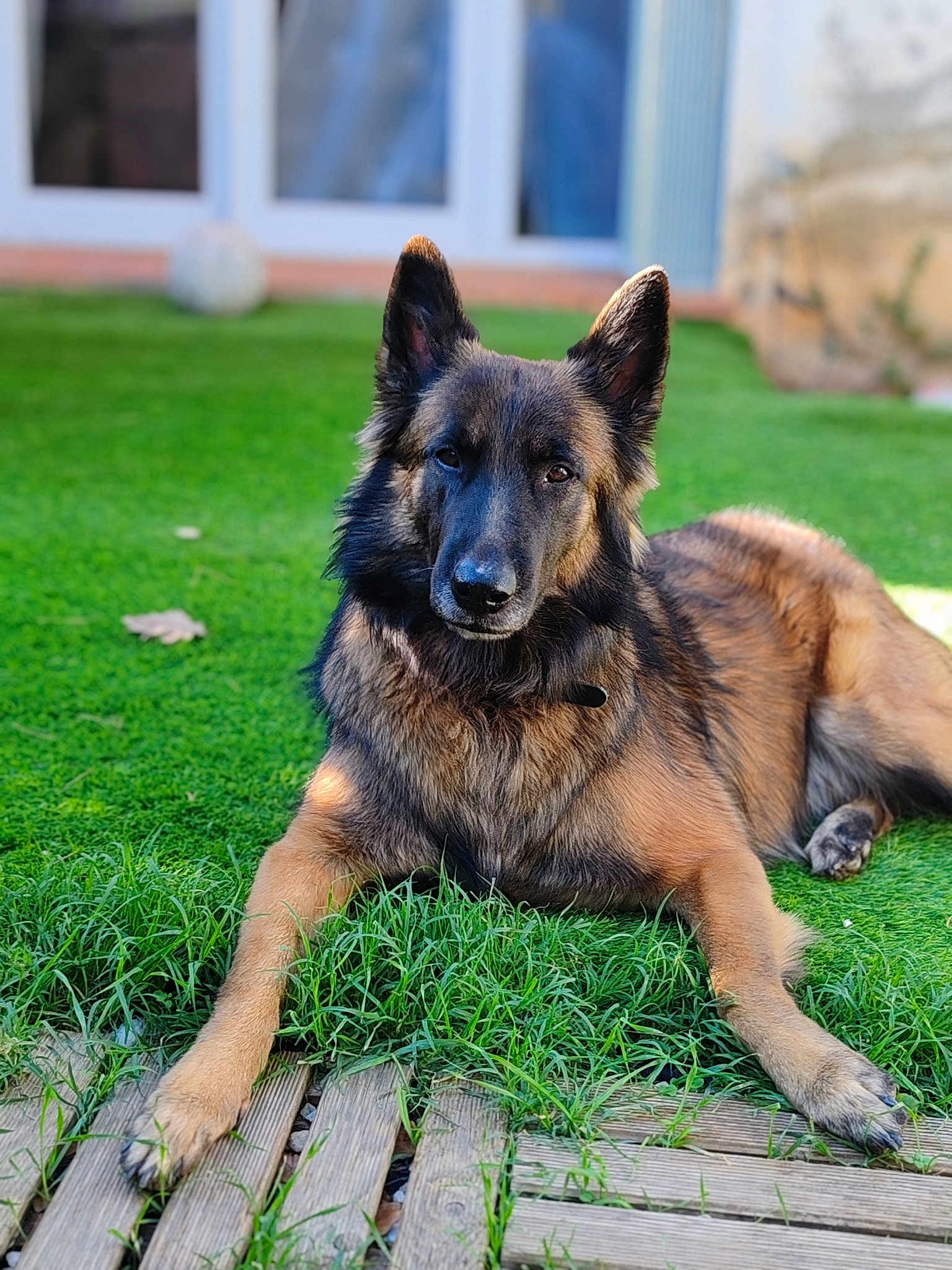 Odin