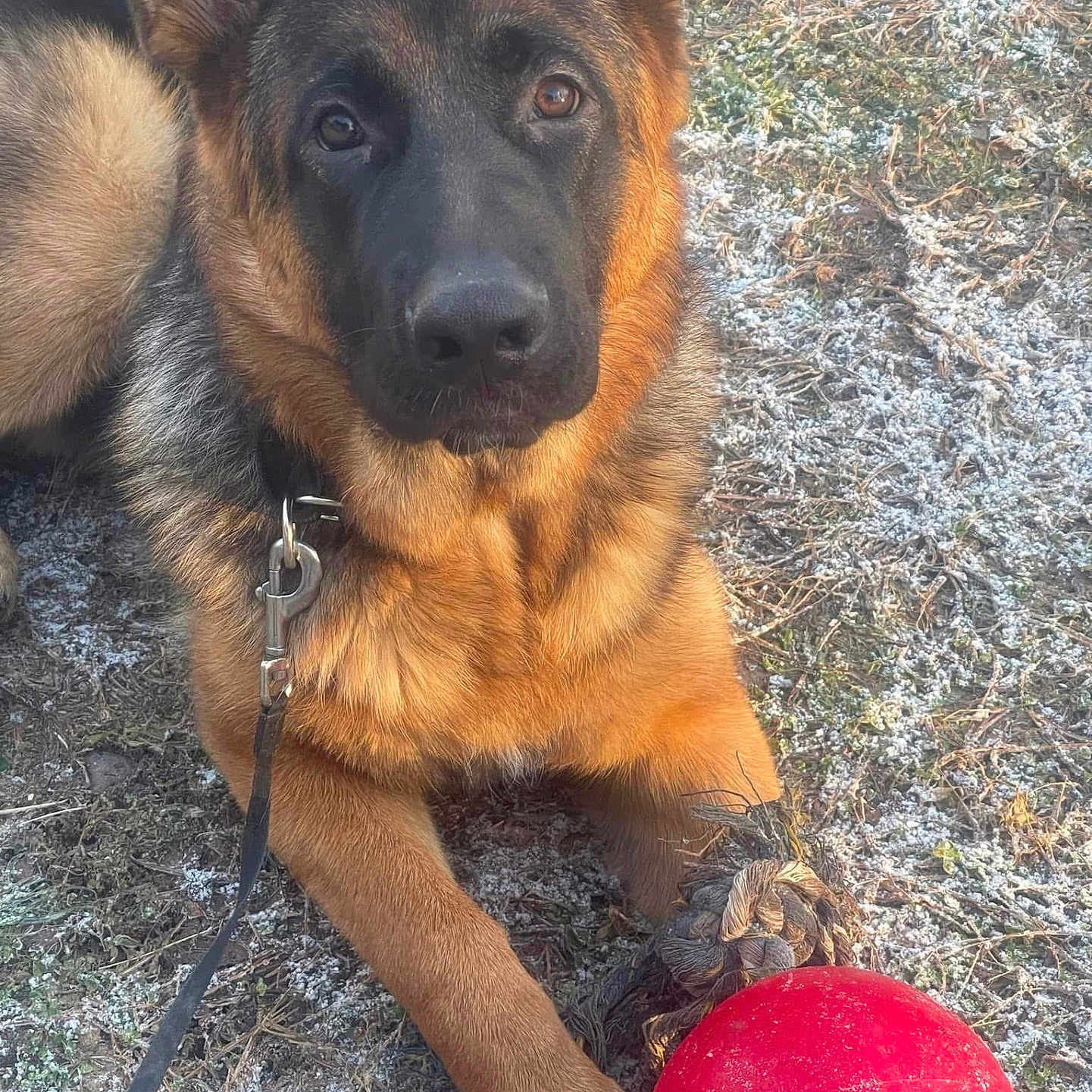 Jango Ferraro