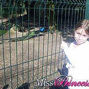 Alison a rejoint le concours — aidez-le/la à gagner de superbes lots !