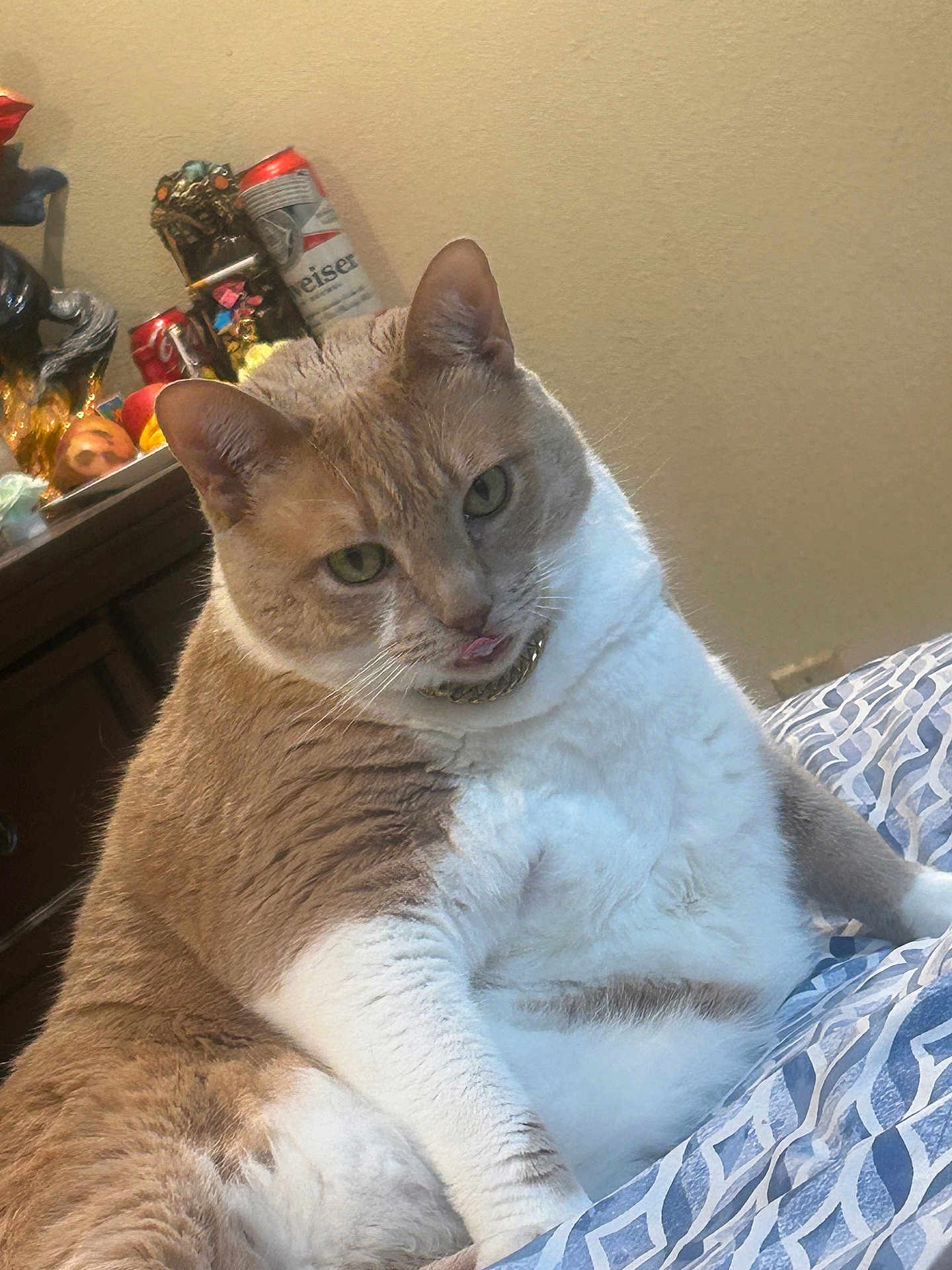 Garfield