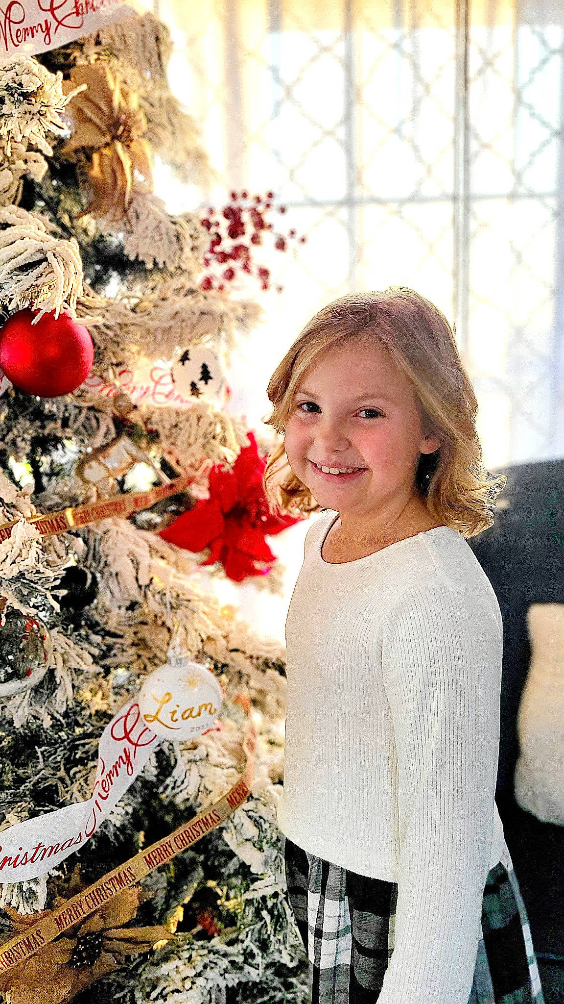 Haley is registered to the contest to win money with this photo: brown_hair, christmas, christmas_decoration, christmas_ornament, christmas_tree, conifer, event, flash_photography, floral_design, happy, holiday, holiday_ornament, joy, ornament, pattern, people_in_nature, person, petal, smile, textile