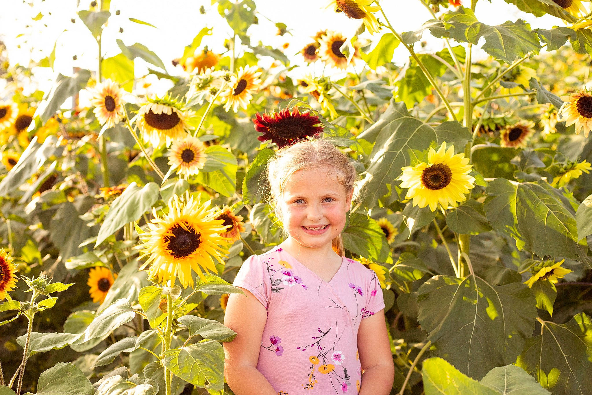 Haley is registered to the contest to win money with this photo: botany, coneflower, flower, flower_arranging, grass, happy, joy, landscape, leaf, meadow, nature, people_in_nature, person, petal, plant, sky, smile, summer, sunflower, sunlight