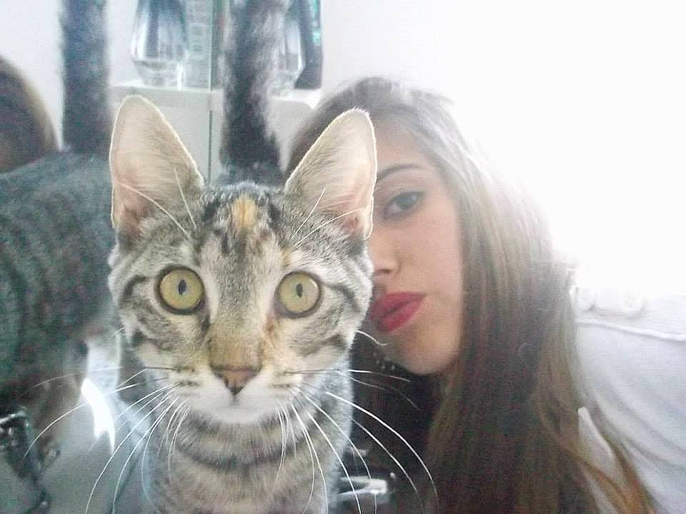 Flanele