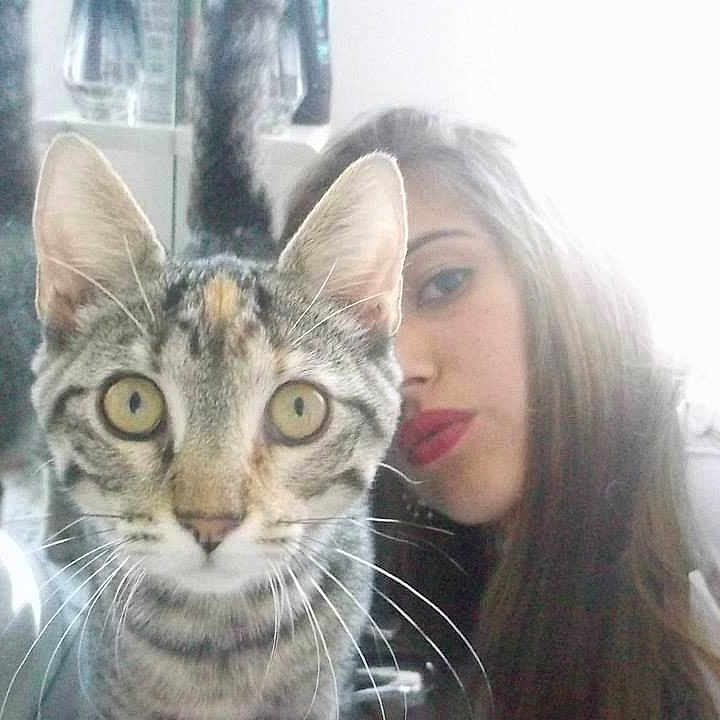 Flanele