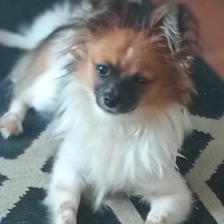Charlie