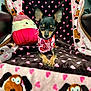 Bruno joined the competition — help win amazing prizes! dog, small_dog, bandana, plush_toy, blanket, heart_pattern, cartoon_dog, chair, indoor, cute, pet, toy, cozy, black_dog, tan_dog, fur, ears, animal, resting, comfortable