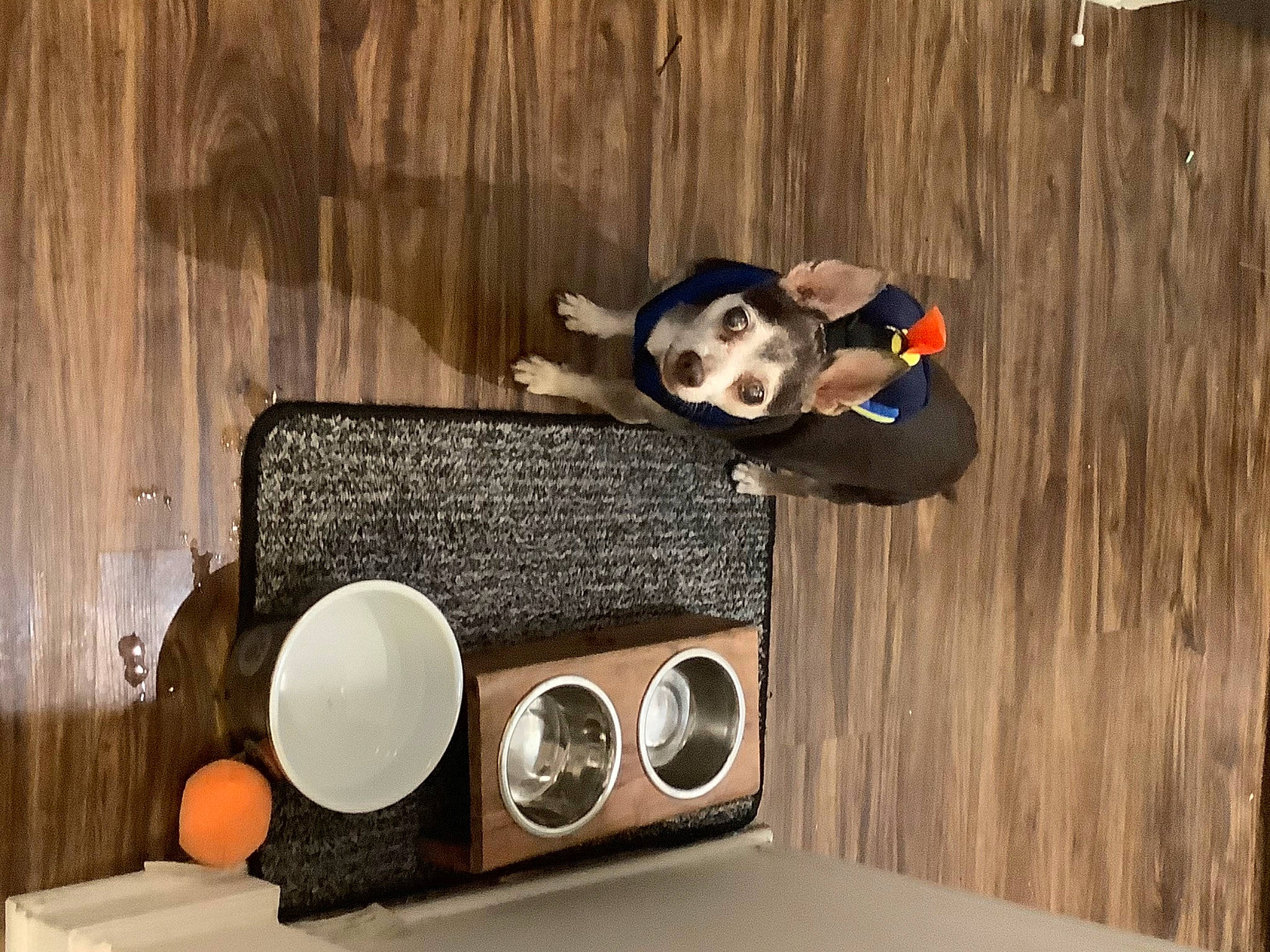 Louis Vuitton is registered to the contest to win money with this photo: audio_equipment, boombox, computer_speaker, electronic_device, electronics, loudspeaker, room, studio_monitor, subwoofer, technology, wood