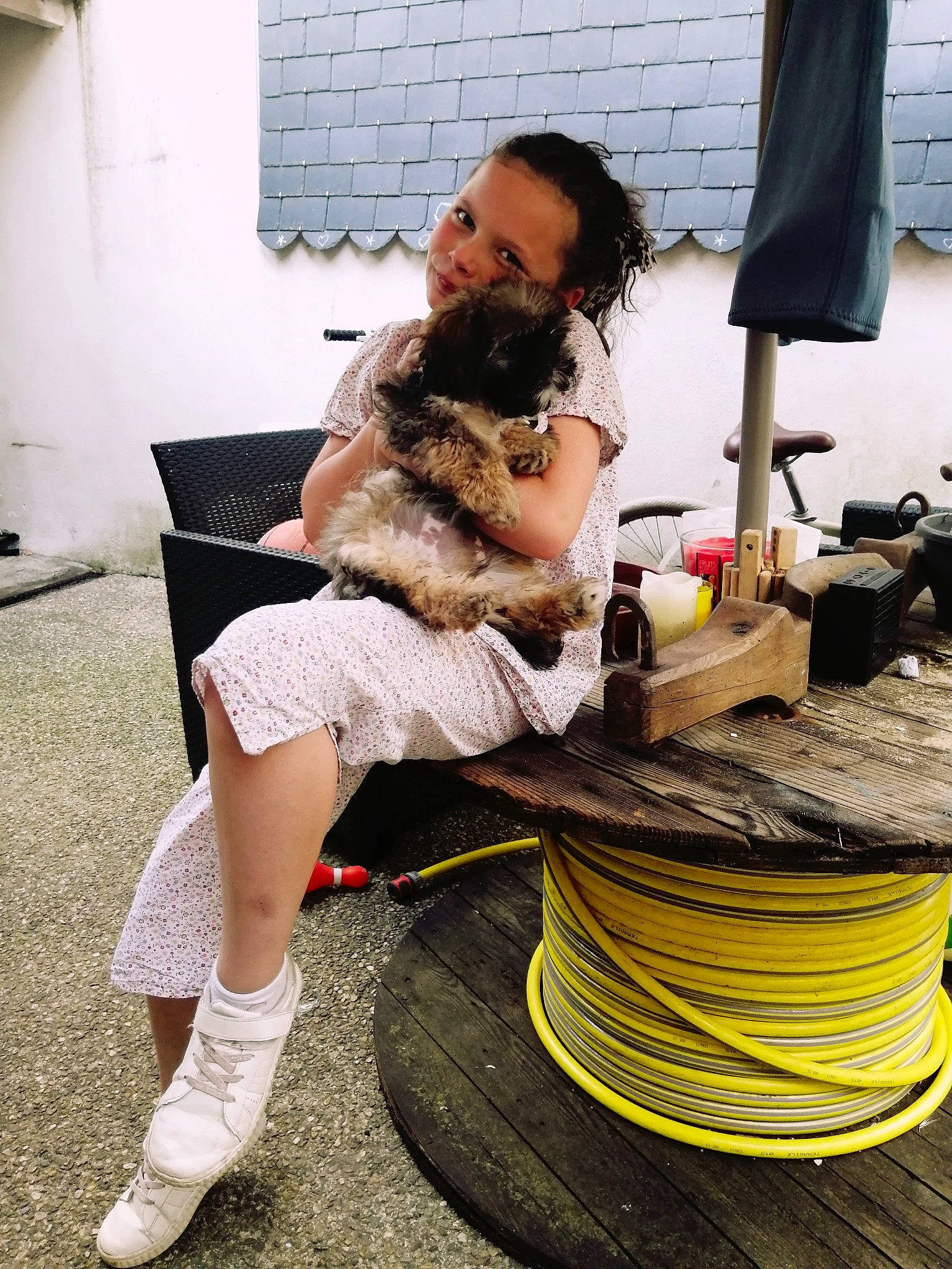 Eloise a rejoint le concours — aidez-le/la à gagner de superbes lots ! beard, boot, carnivore, companion_dog, dress, eyewear, fashion, fashion_design, fawn, felidae, glasses, hairstyle, human_leg, knee, person, sandal, sitting, small_to_medium_sized_cats, sunglasses, textile