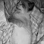 Richie participe au concours pour gagner de l'argent avec cette photo : cat, sleeping, blanket, cozy, fur, resting, indoor, pet, cute, comfort, animal, feline, relaxation, soft, quiet, peaceful, home, nap, whiskers, bed