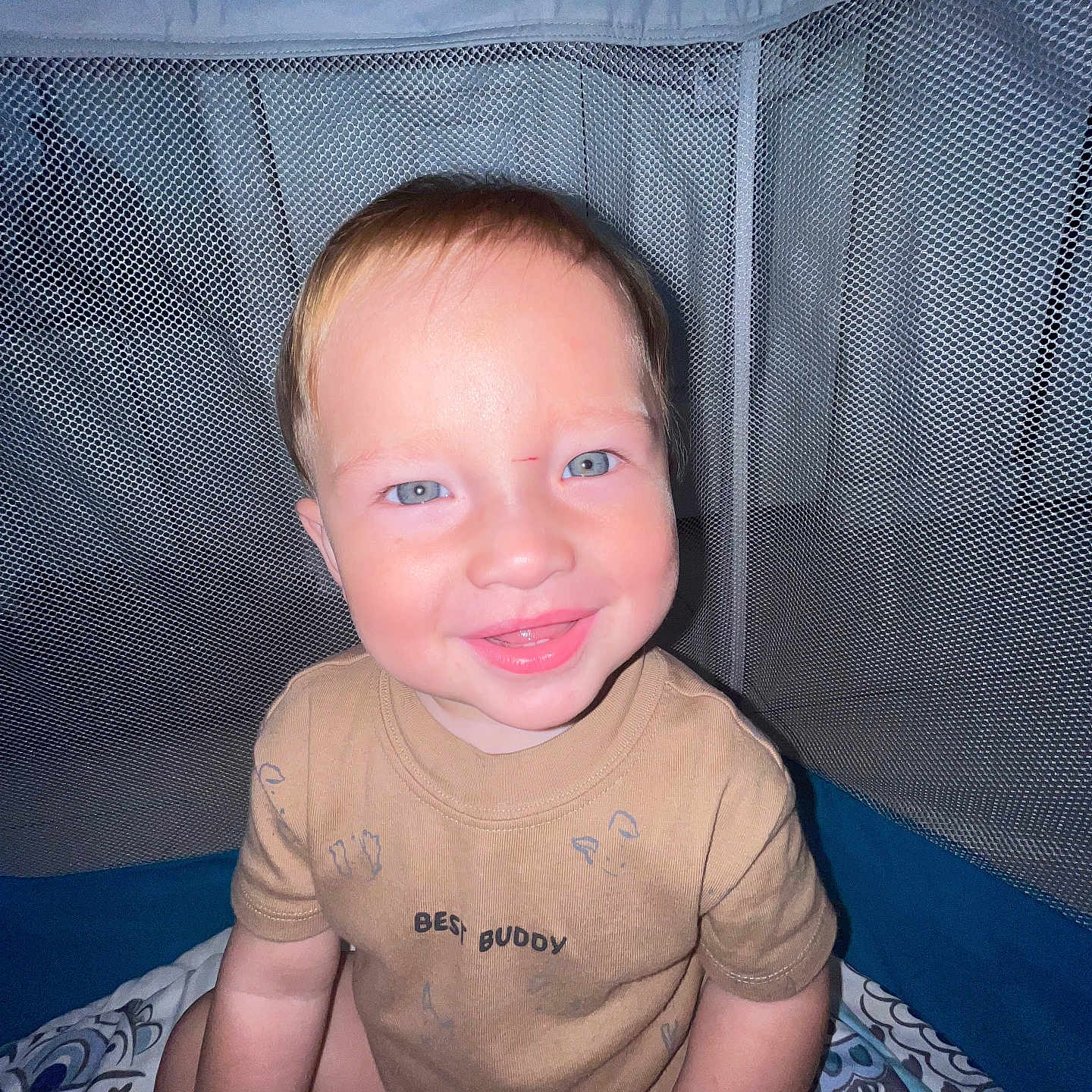 Apolo is registered to the contest to win money with this photo: baby, child, infant, smiling, portrait, indoors, playpen, mesh, seated, brown_shirt, blue_eyes, fair_hair, flash_photography, bedding, patterned_blanket, nursery, happy, cute, closeup, home
