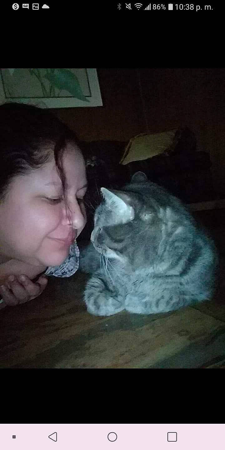 Baby joined the competition — help win amazing prizes! carnivore, cat, comfort, darkness, domestic_short_haired_cat, ear, felidae, finger, fur, gesture, happy, jaw, mouth, nap, nose, paw, sitting, small_to_medium_sized_cats, snout, whiskers