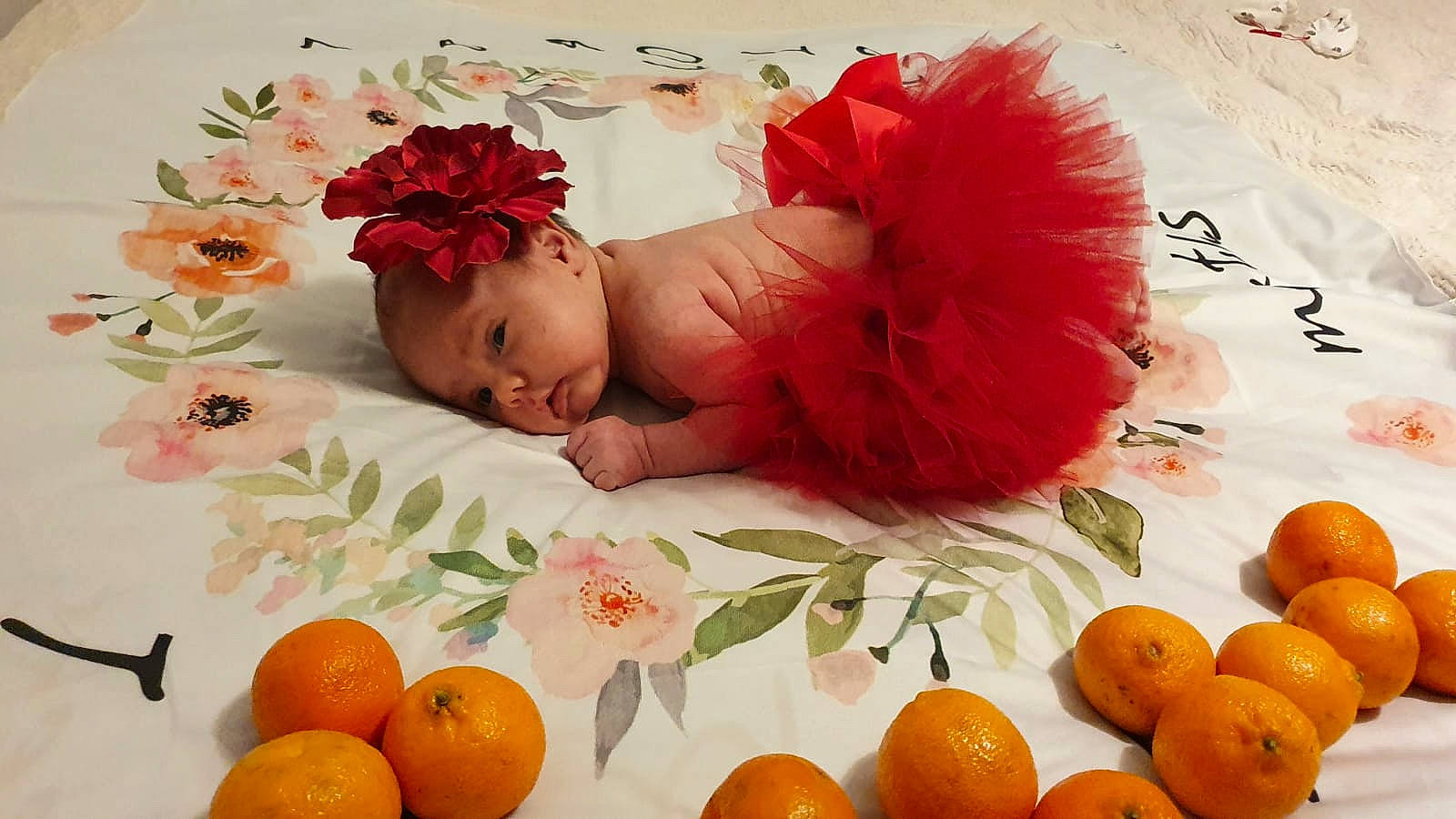 Anastasia participe au concours pour gagner de l'argent avec cette photo : baby, bitter_orange, calamondin, citrus, clementine, comfort, flower, food, fruit, grapefruit, mandarin_orange, natural_foods, orange, person, petal, plant, rangpur, tangelo, tangerine, valencia_orange