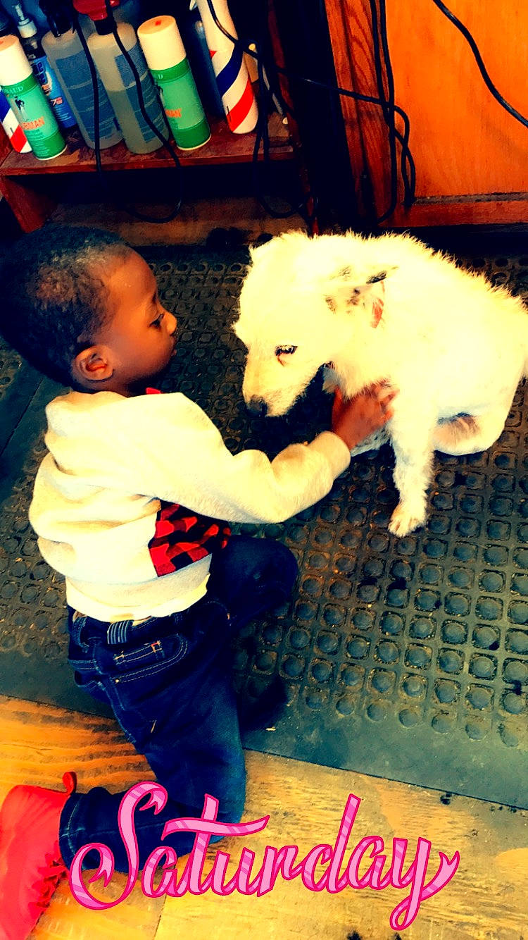 Nehemiah joined the competition — help win amazing prizes! baby, baby_toddler_clothing, carnivore, companion_dog, cool, dog, dog_breed, fawn, felidae, flooring, fun, happy, mammal, person, photograph, snapshot, sporting_group, t_shirt, toddler, toy